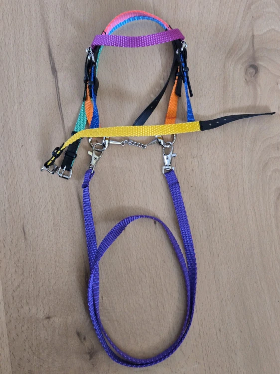 Uzdečka s anglickým nánosníkem bez podpínky pro Hobby Horse – kombinace barevných popruhů a černé koženky, velikost PONY