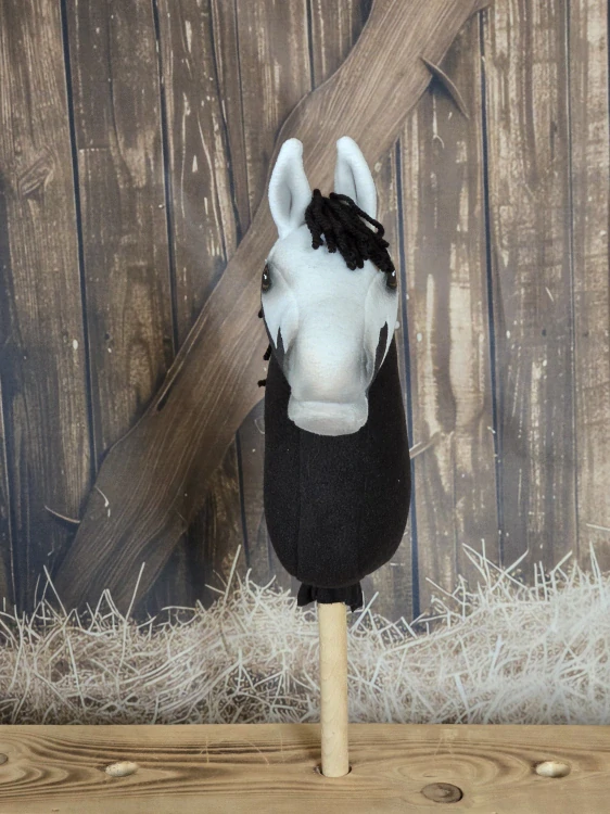 Pony - Shetland pony (9)