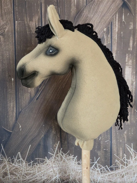 Pony - Český sportovní pony (3)