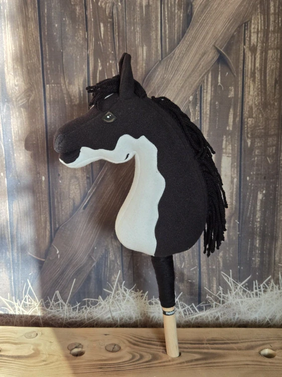 Pony - Shetland pony (10)