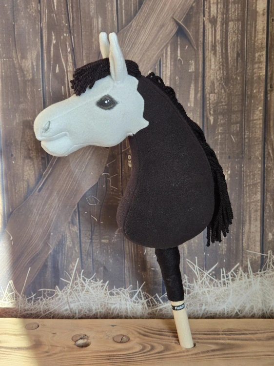 Pony - Shetland pony (11)