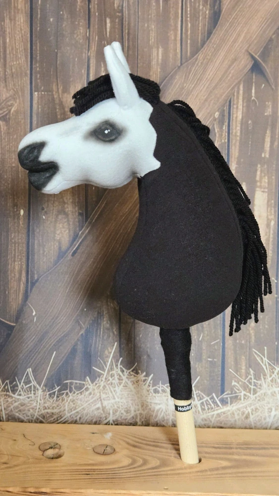 Pony - Shetland pony (11)