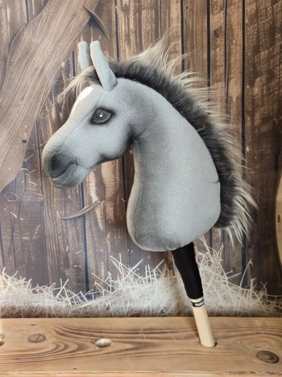 Pony - Český sportovní pony (4)