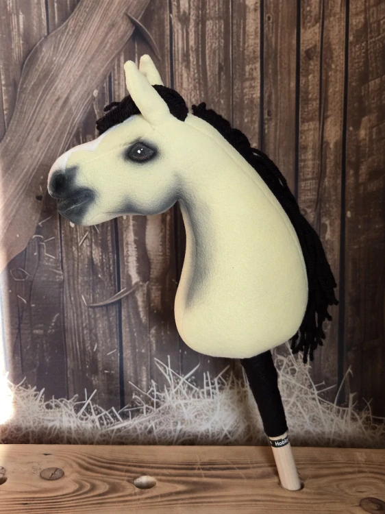 Pony - Český sportovní pony (5)