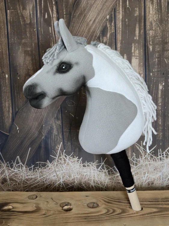 Pony - Shetland pony (13)