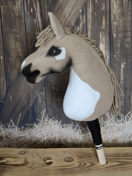 Pony - Shetland pony (14)