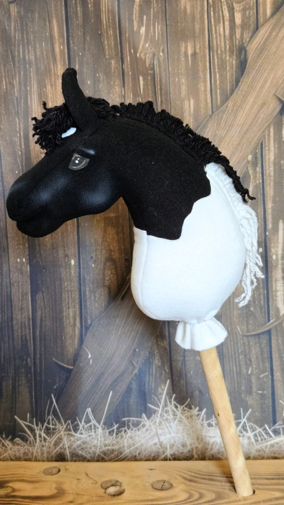 Pony - Shetland pony (15)