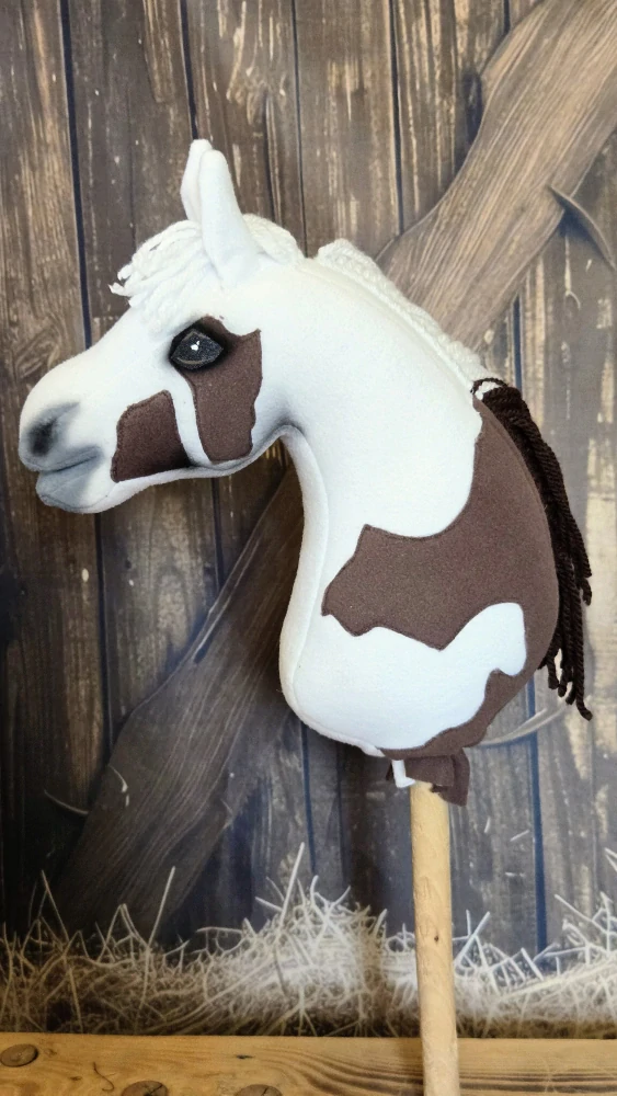 Pony - Shetland pony (16)