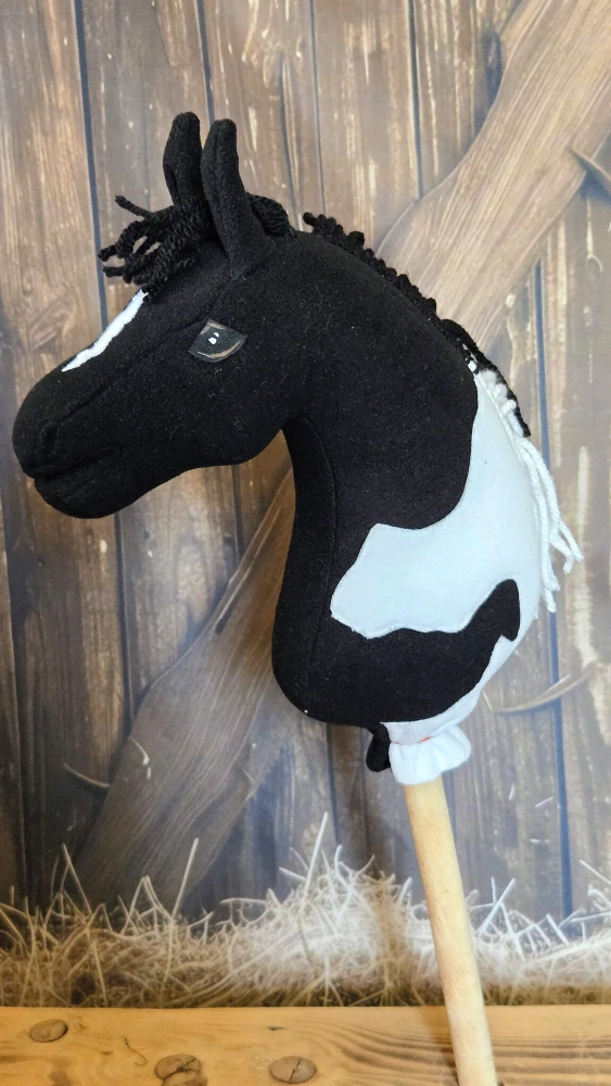 Pony - Shetland pony (17)