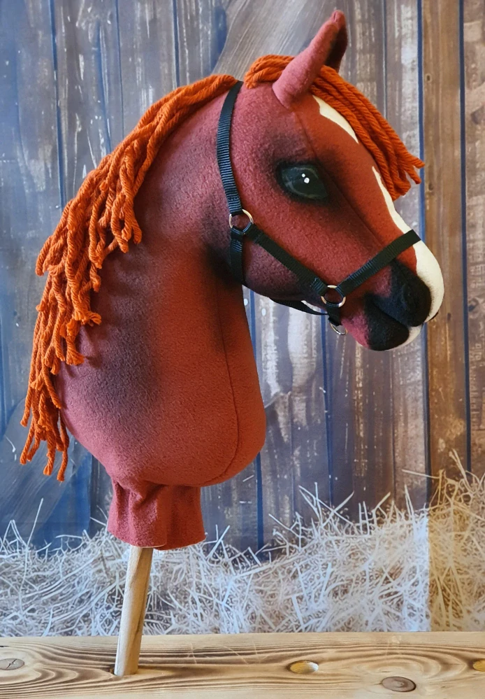 Hobby Horse - Anglický plnokrevník, ryzák (2)