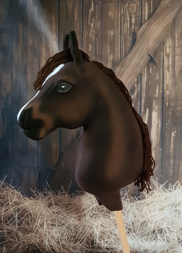Hobby Horse - Polský teplokrevník