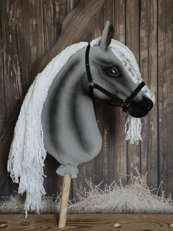 Hobby Horse - Shagya arab (2)