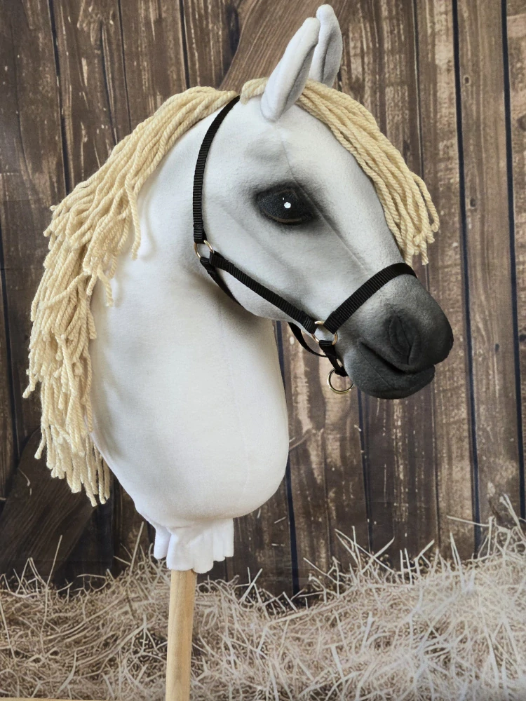 Hobby Horse - Shagya arab (3)