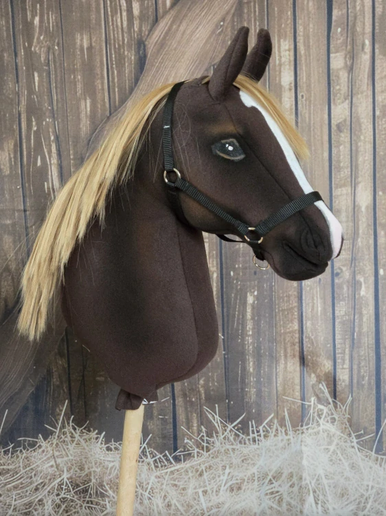 Hobby Horse - Rocky mountain horse
