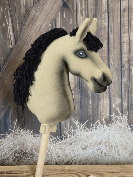 Pony - Český sportovní pony (3)