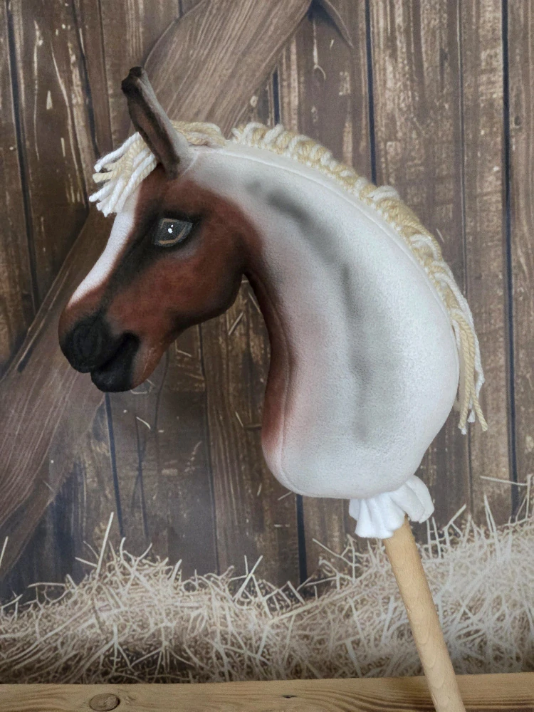 Pony - Americký pony (3)