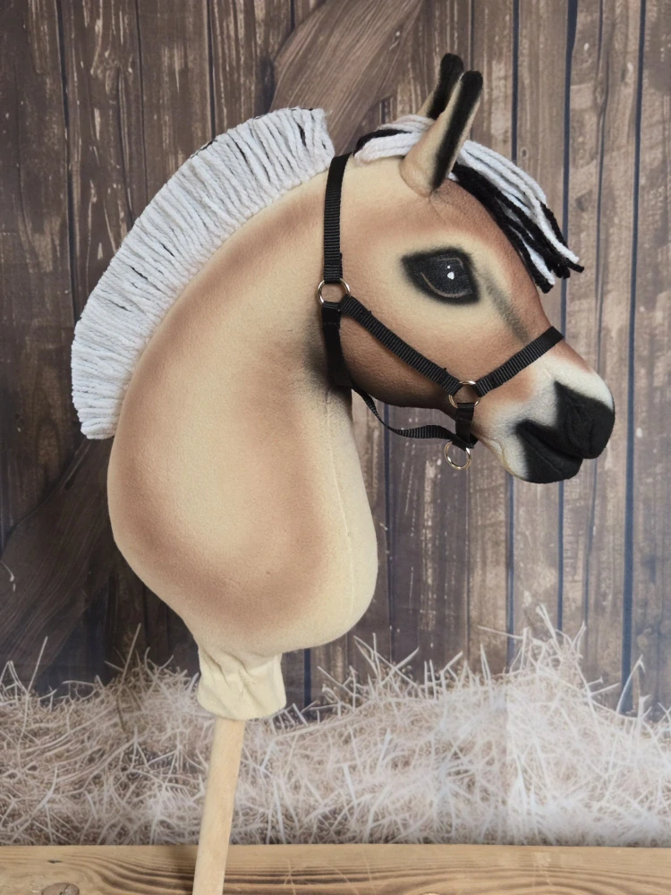 Hobby Horse - Fjordský kůň (1)