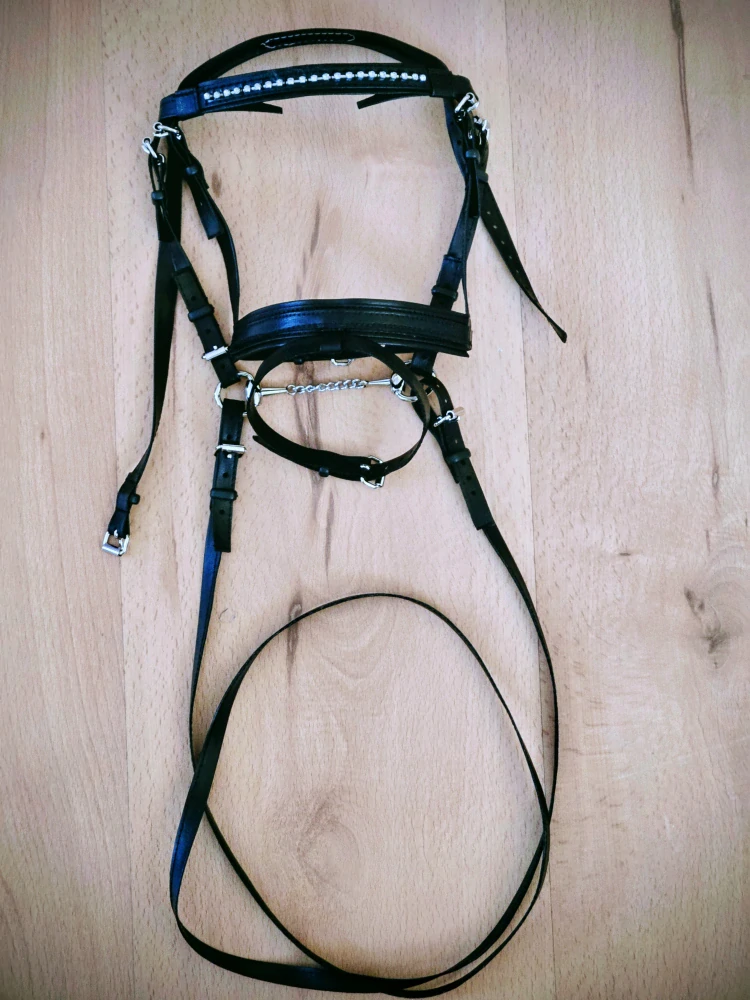 Hobby Horse - Anglická uzdečka (var.1)