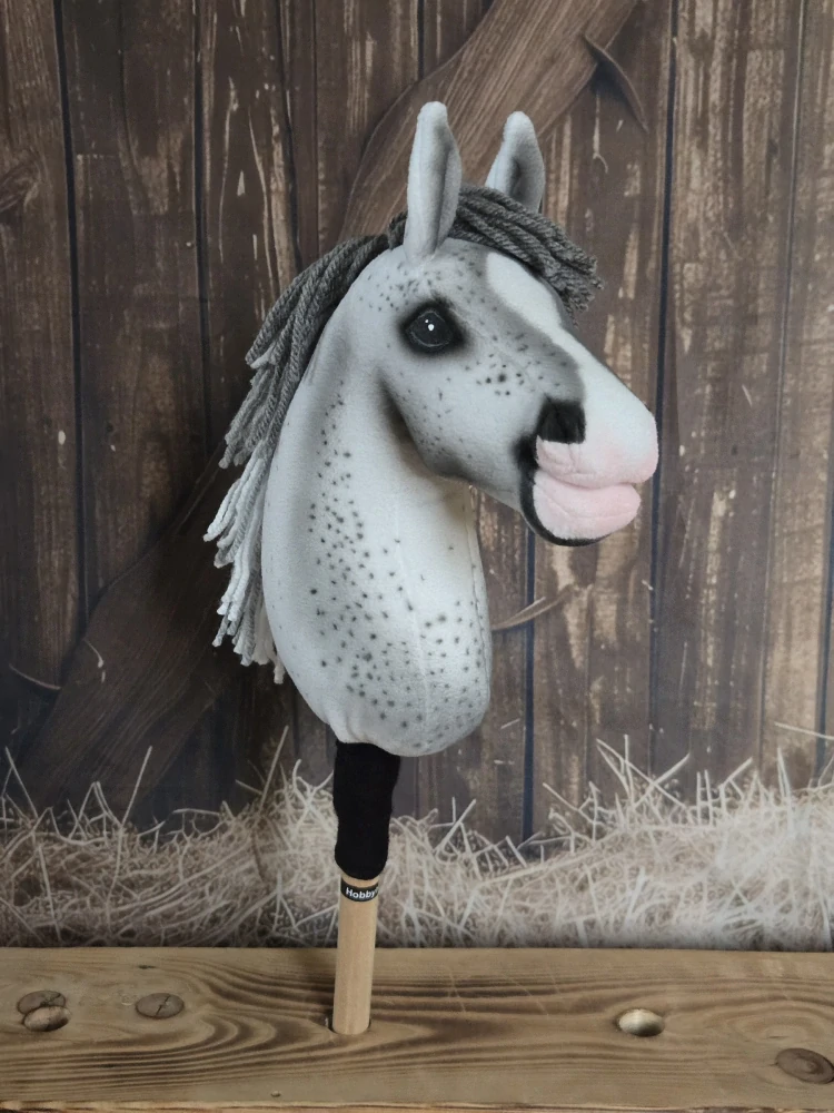 Pony - Highland pony
