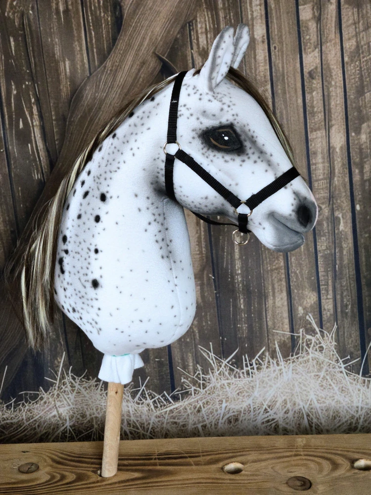 Hobby Horse - Slovenský teplokrevník