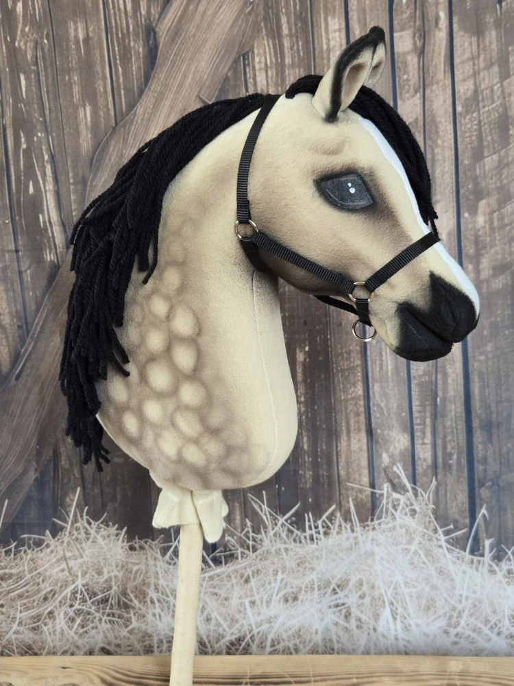 Hobby Horse - Trakénský kůň (1)