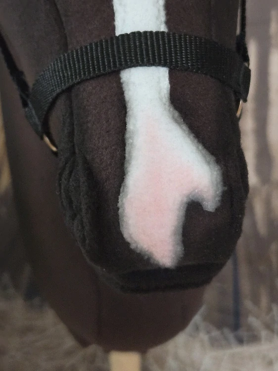 Hobby Horse - Rocky mountain horse