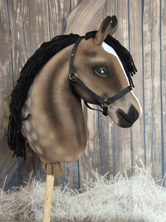 Hobby Horse - Trakénský kůň (3)