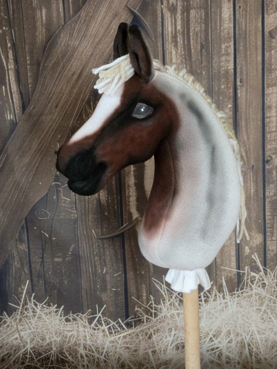 Pony - Americký pony (3)
