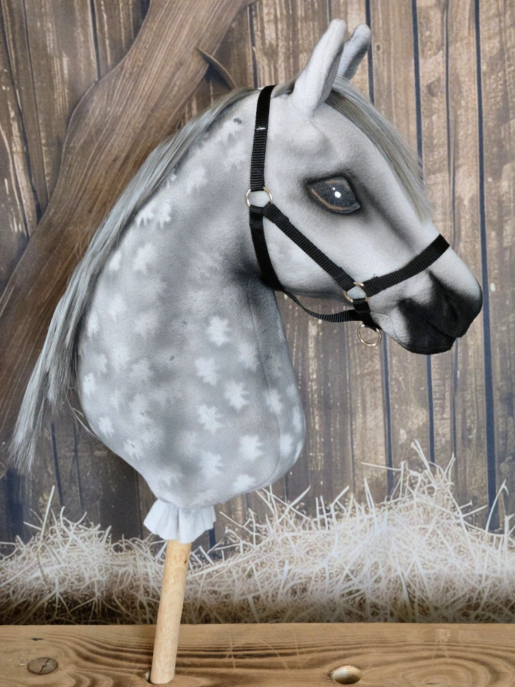 Hobby Horse - Andaluský kůň (6)