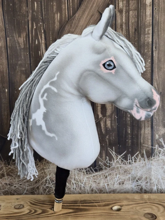 Hobby Horse - Oldenbruský kůň
