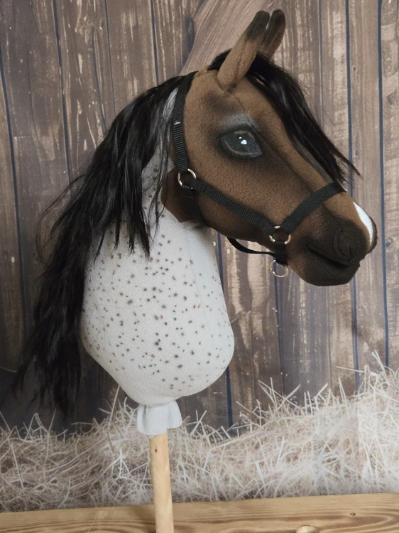 Hobby Horse - Český teplokrevník, černý (5)