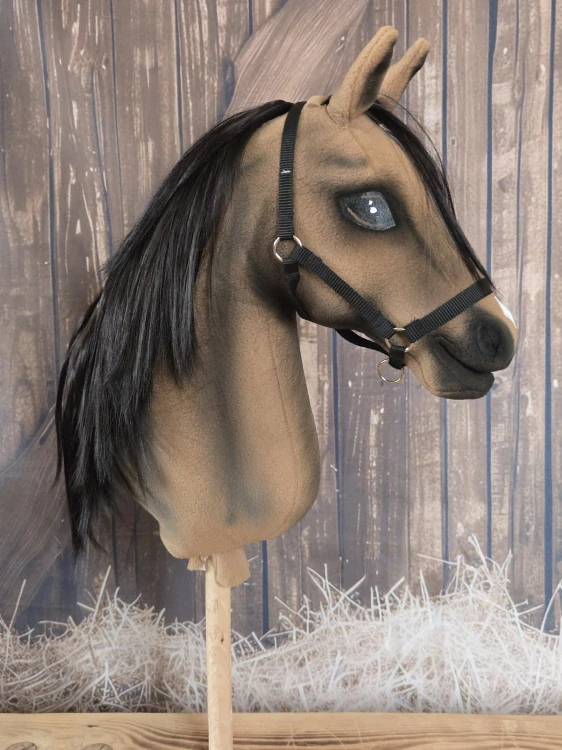 Hobby Horse - Holandský teplokrevník (3)