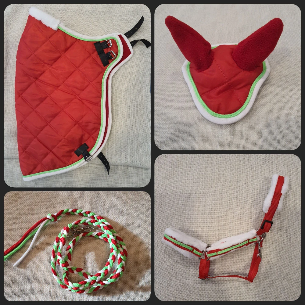 Hobby Horse - Adventní kalendář - Var.3, kobyla s hříbětem Českého teplokrevníka