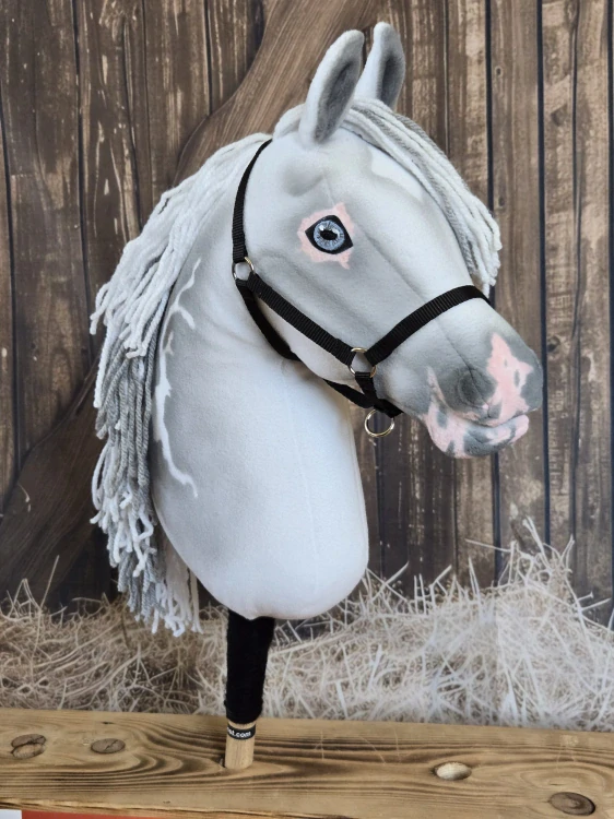 Hobby Horse - Oldenbruský kůň