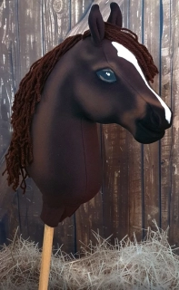 Hobby Horse - Polský teplokrevník