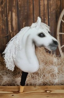 Pony - Český sportovní pony