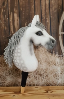 Pony - Velšský pony