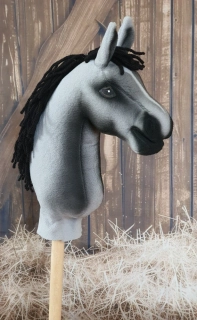 Pony - Welsh mountain pony