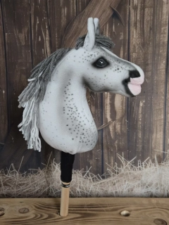 Pony - Highland pony
