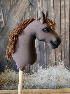 Pony - Český sportovní pony (2)