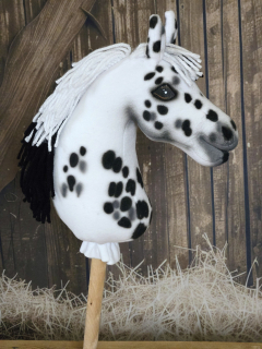 Pony - Polo pony (2)