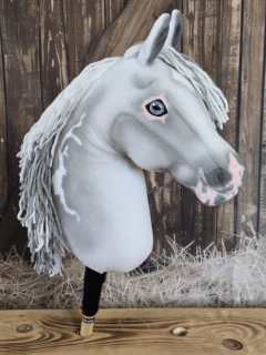 Hobby Horse - Oldenbruský kůň