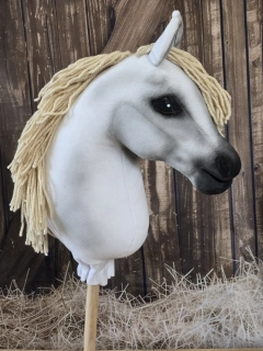 Hobby Horse - Shagya arab (3)
