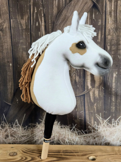 Pony - Shetland pony (4)