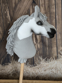 Pony - Shetland pony (5)