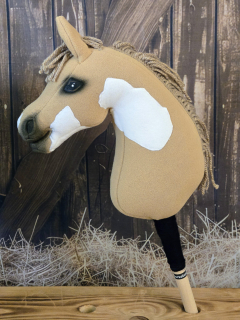 Pony - Shetland pony (6)