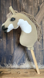 Pony - Shetland pony (6)