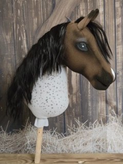 Hobby Horse - Český teplokrevník (5)