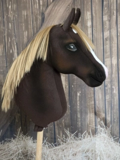 Hobby Horse - Rocky mountain horse