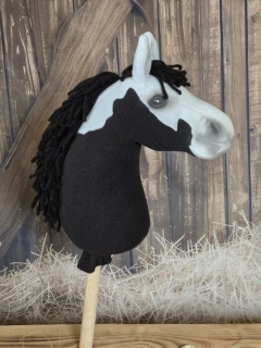 Pony - Shetland pony (9)